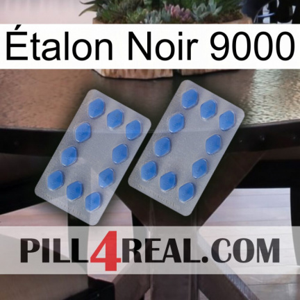 Étalon Noir 9000 20